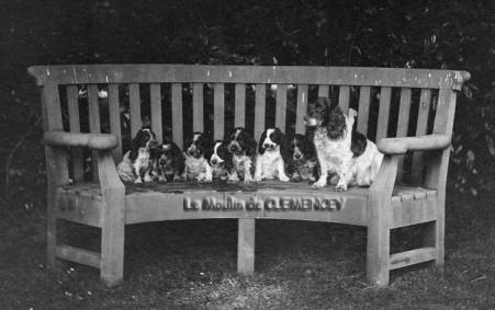 Ruth and her litter-July 1911